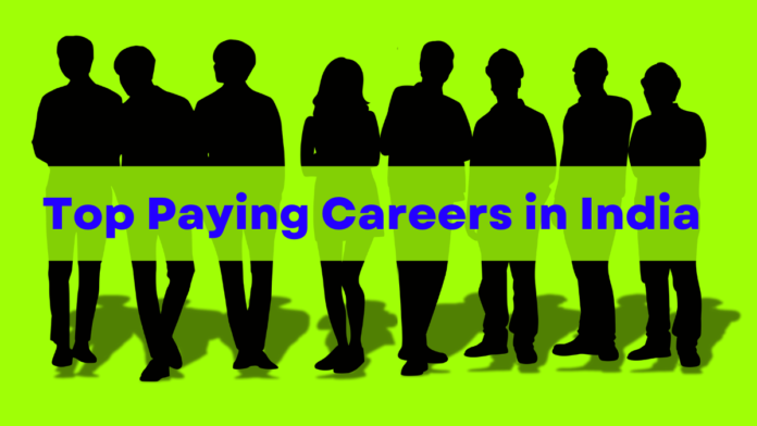 Top Paying Careers in India